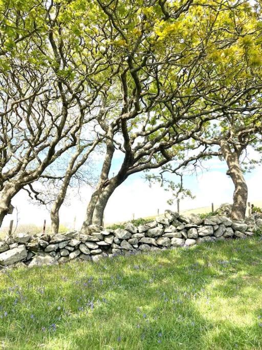 Cwt Y Bugail Hotel Barmouth Luaran gambar